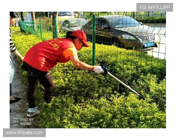 尊龙足球官网用户互动平台打造足球迷交流的最佳社区环境