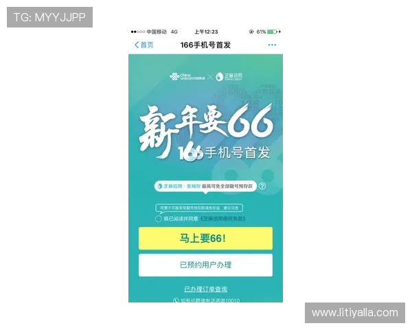尊龙会官网会员登录入口查询注意事项，确保登录信息安全与正确性