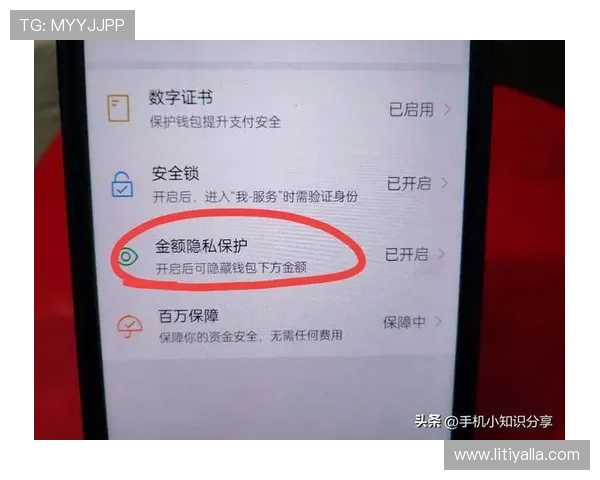尊龙官网登录入口安全保障措施,保障用户信息安全与资金安全