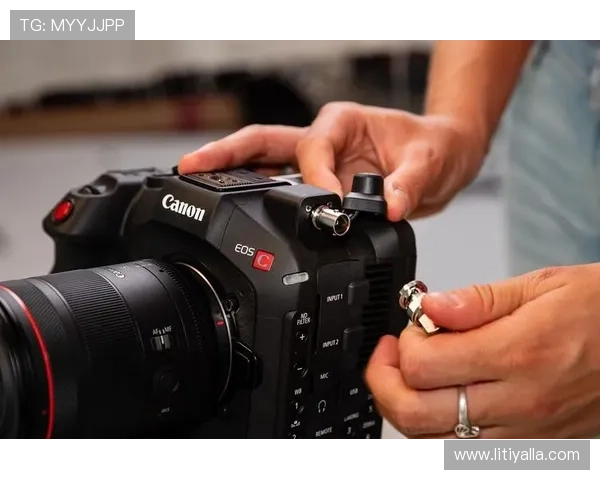 Z6尊龙真人平台注册流程详解及新手玩家入门指南