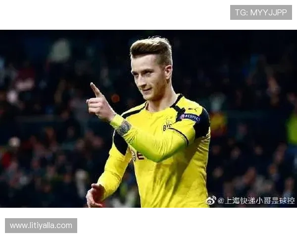 尊龙z6手机版用户评价与反馈，了解真实玩家的使用感受与建议优化方案