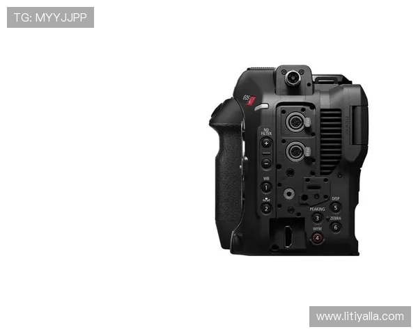 畅游z6尊龙官方网站网页版，探索无限可能与精彩活动尽在其中