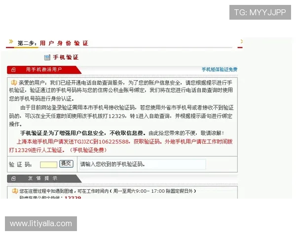 尊龙官网地址最新入口,提供最全最安全的登录指南与官方验证方法