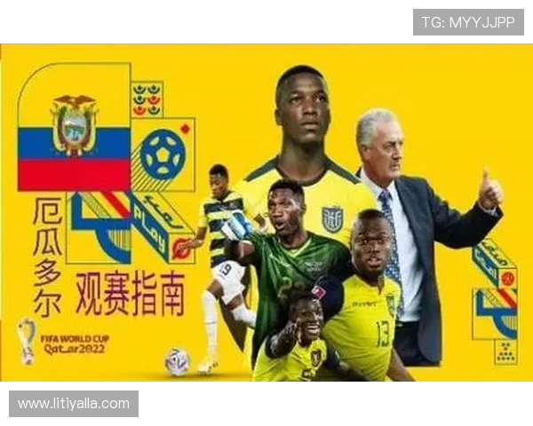 2026年世界杯西班牙对沙特比赛购票渠道详细指南与最新购票流程介绍