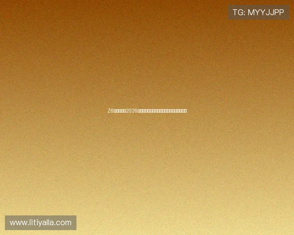 Z6网址娱乐：2026世界杯比赛数据统计与球队排名实时更新分析